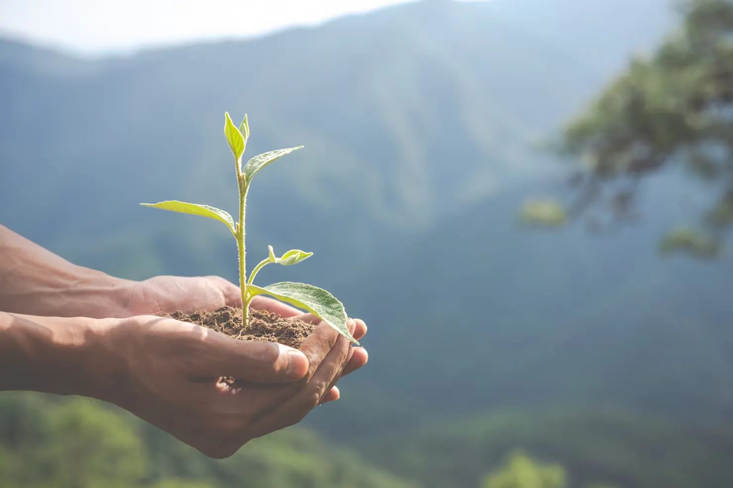 environmental-conservation-garden-children_1150-15276